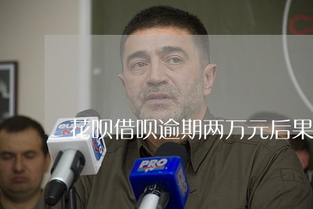 花呗借呗逾期两万元后果 花呗借呗逾期两万元后果