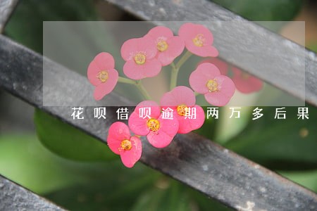 花呗借呗逾期两万多后果 花呗借呗逾期两万多后果