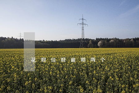 花呗借呗逾期两个 花呗借呗逾期两个