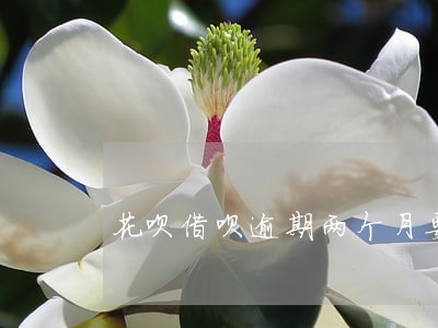 花呗借呗逾期两个月要求一次还清 花呗借呗逾期两个月要求一次还清