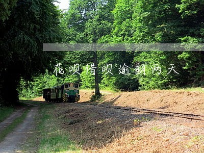 花呗借呗逾期两天 花呗借呗逾期两天