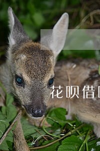 花呗借呗逾期两天有影响吗 花呗借呗逾期两天有影响吗