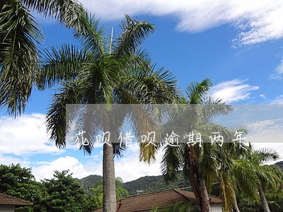 花呗借呗逾期两年 花呗借呗逾期两年