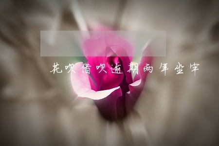 花呗借呗逾期两年坐牢 花呗借呗逾期两年坐牢