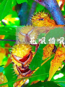 花呗借呗逾期两年多 花呗借呗逾期两年多