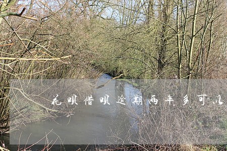 花呗借呗逾期两年多可以坐飞机吗 花呗借呗逾期两年多可以坐飞机吗