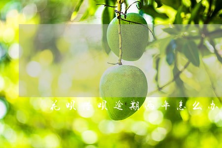 花呗借呗逾期两年怎么办 花呗借呗逾期两年怎么办