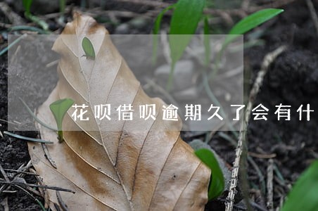花呗借呗逾期久了会有什么后果 花呗借呗逾期久了会有什么后果