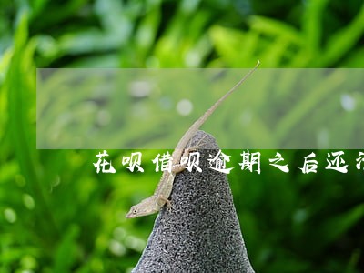 花呗借呗逾期之后还清有影响吗 花呗借呗逾期之后还清有影响吗