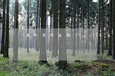 花呗借呗逾期了上门不去可以吗