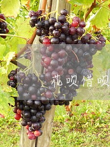 花呗借呗逾期了会上门吗 花呗借呗逾期了会上门吗