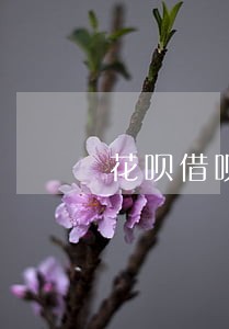 花呗借呗逾期了会被关闭吗 花呗借呗逾期了会被关闭吗