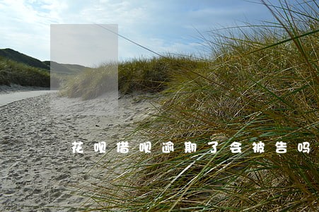 花呗借呗逾期了会被告吗 花呗借呗逾期了会被告吗