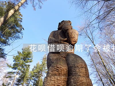 花呗借呗逾期了会被拘留么 花呗借呗逾期了会被拘留么