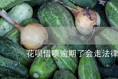 花呗借呗逾期了会走法律程序吗 花呗借呗逾期了会走法律程序吗