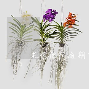花呗借呗逾期了利息会不会高 花呗借呗逾期了利息会不会高