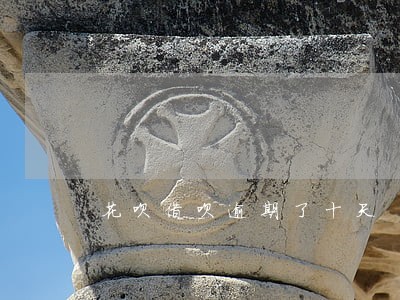 花呗借呗逾期了十天