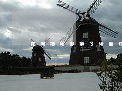 花呗借呗逾期了协商打什么电话 花呗借呗逾期了协商打什么电话