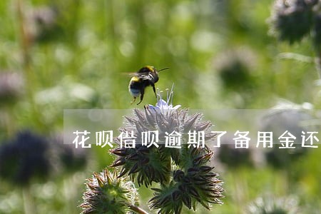 花呗借呗逾期了备用金还可以用吗 花呗借呗逾期了备用金还可以用吗