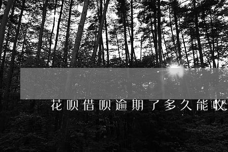 花呗借呗逾期了多久能收到信息 花呗借呗逾期了多久能收到信息