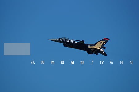 花呗借呗逾期了好长时间 花呗借呗逾期了好长时间