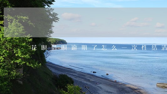 花呗借呗逾期了怎么一次性结清 花呗借呗逾期了怎么一次性结清