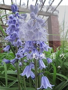 花呗借呗逾期了收到诉讼通知 花呗借呗逾期了收到诉讼通知