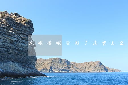 花呗借呗逾期了淘宝怎么用