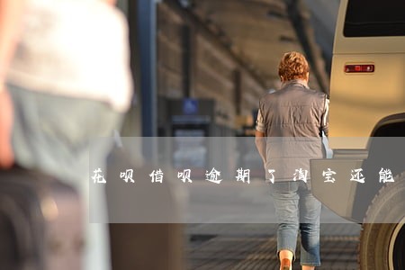 花呗借呗逾期了淘宝还能用吗 花呗借呗逾期了淘宝还能用吗