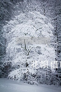 花呗借呗逾期了爆通讯录吗 花呗借呗逾期了爆通讯录吗