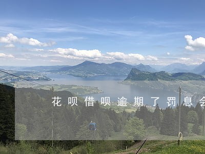 花呗借呗逾期了罚息会一直涨吗