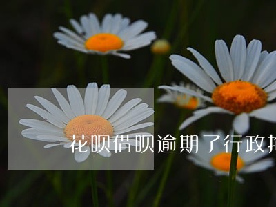 花呗借呗逾期了行政拘留