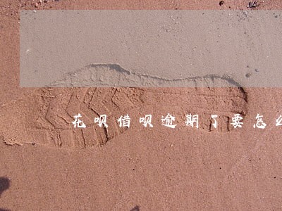 花呗借呗逾期了要怎么协商