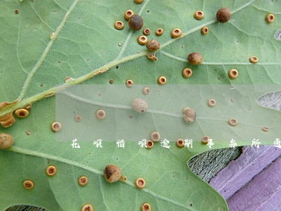 花呗借呗逾期事务所通知 花呗借呗逾期事务所通知