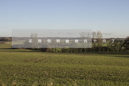 花呗借呗逾期五个月了 花呗借呗逾期五个月了
