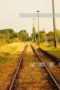 花呗借呗逾期五天 花呗借呗逾期五天