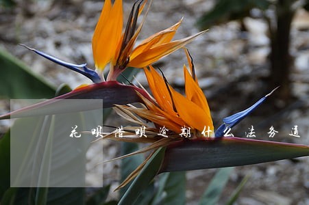 花呗借呗逾期什么法务通知 花呗借呗逾期什么法务通知
