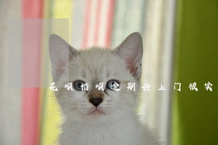 花呗借呗逾期会上门核实情况 花呗借呗逾期会上门核实情况