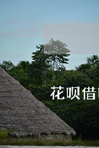 花呗借呗逾期会不会上门征税