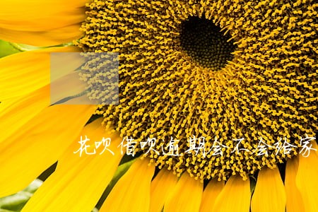 花呗借呗逾期会不会给家里打电话 花呗借呗逾期会不会给家里打电话