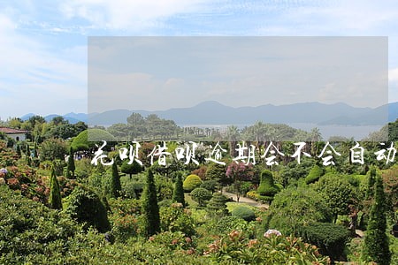 花呗借呗逾期会不会自动扣费 花呗借呗逾期会不会自动扣费