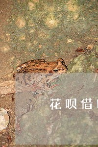 花呗借呗逾期会不告知直接上门嘛 花呗借呗逾期会不告知直接上门嘛