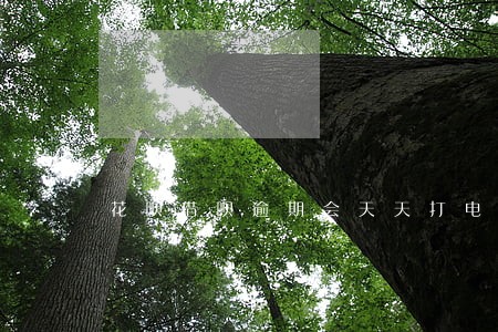 花呗借呗逾期会天天打电话吗 花呗借呗逾期会天天打电话吗