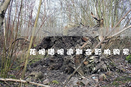 花呗借呗逾期会影响购买社保吗 花呗借呗逾期会影响购买社保吗