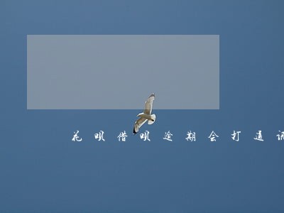 花呗借呗逾期会打通讯录 花呗借呗逾期会打通讯录