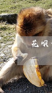 花呗借呗逾期会打通讯录电话吗 花呗借呗逾期会打通讯录电话吗