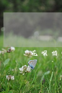 花呗借呗逾期会扣芝麻分么 花呗借呗逾期会扣芝麻分么