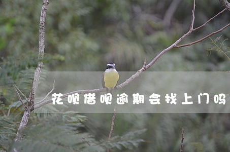花呗借呗逾期会找上门吗 花呗借呗逾期会找上门吗