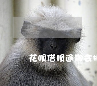 花呗借呗逾期会报案吗 花呗借呗逾期会报案吗