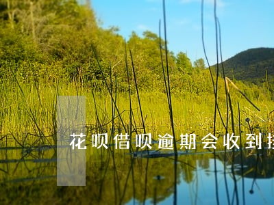 花呗借呗逾期会收到挂号信了 花呗借呗逾期会收到挂号信了